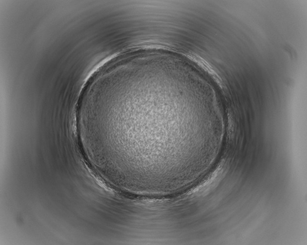 X0000112880782200909041640