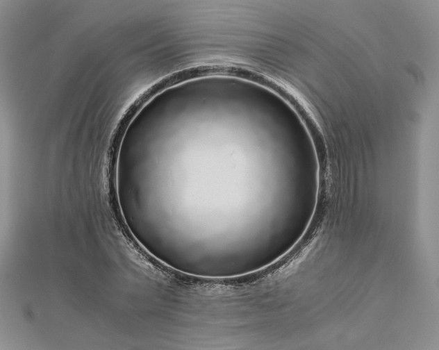 X0000112880783200909041640