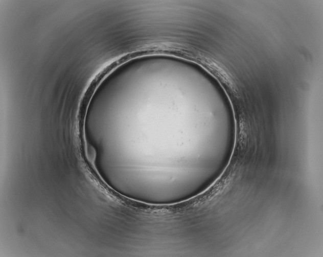 X0000112880784200909041640