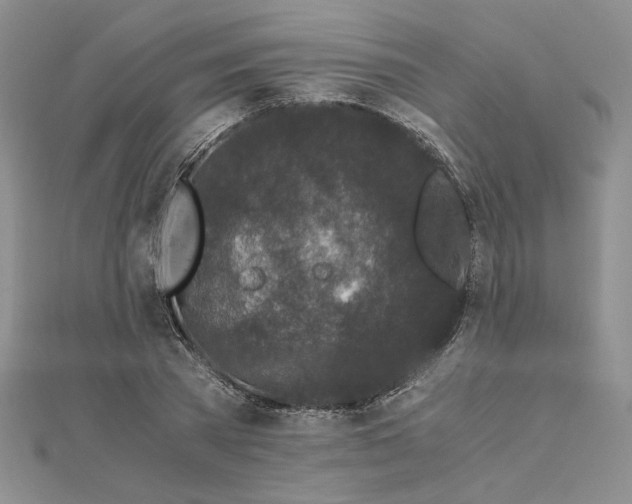 X0000112880785200909041640