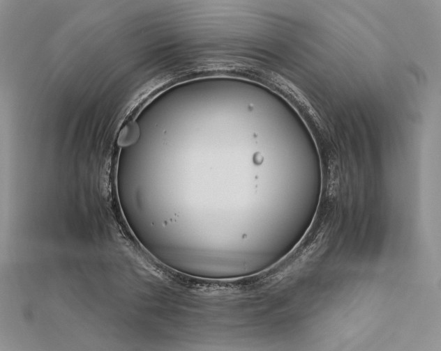 X0000112880786200909041640