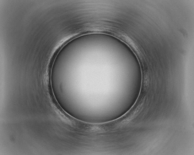 X0000112880787200909041640