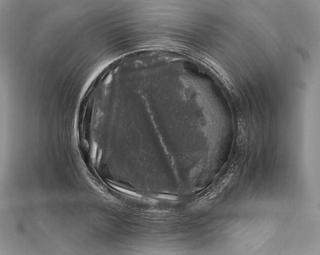 X0000112880788200909041640