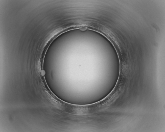 X0000112880789200909041640