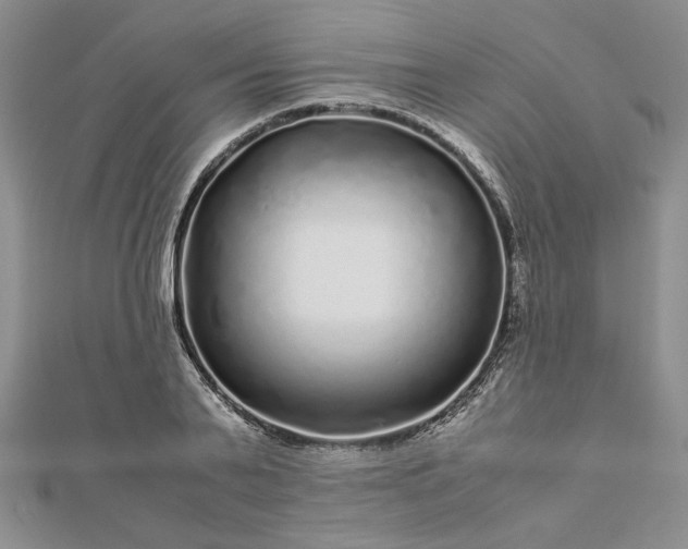 X0000112880791200909041640