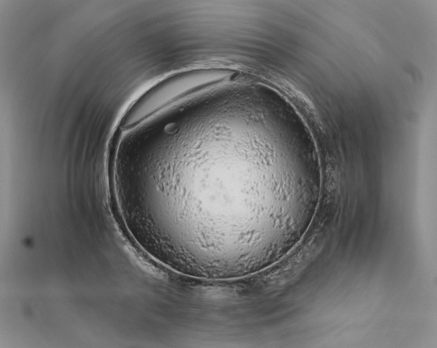 X0000112880792200909041640