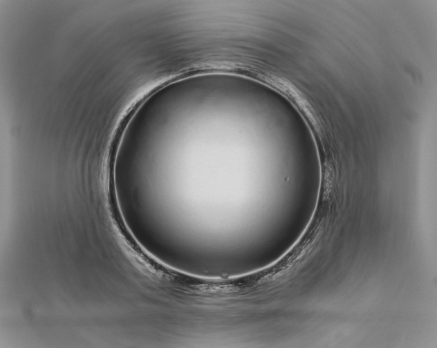 X0000112880795200909041640