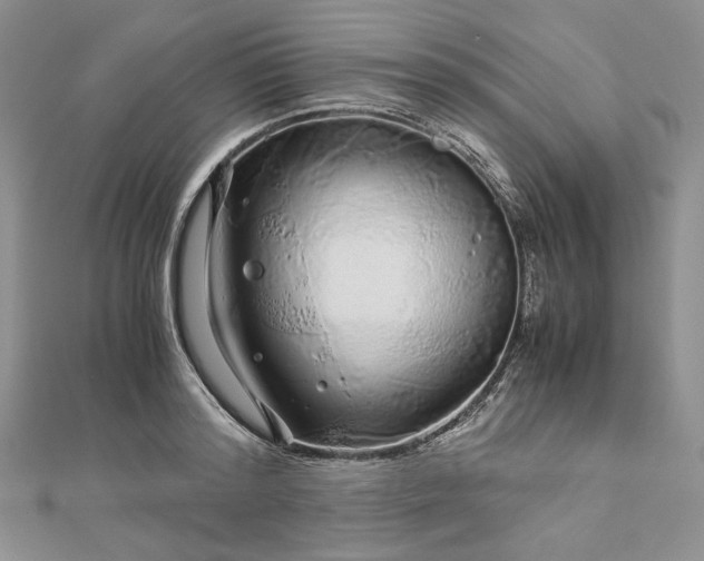 X0000112880796200909041640