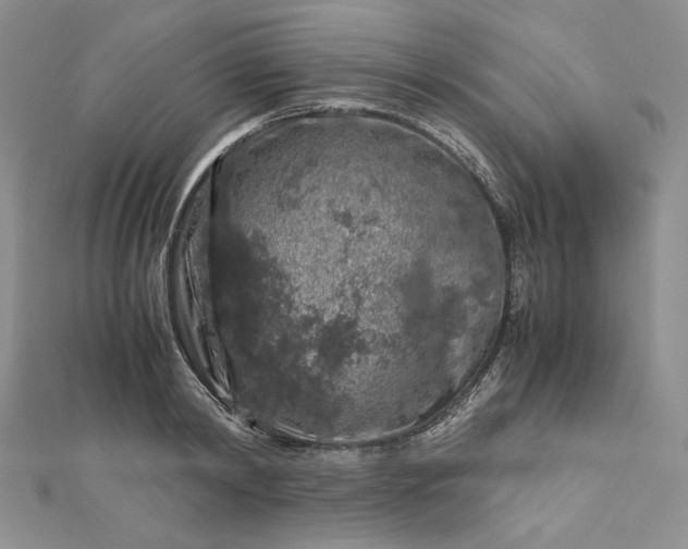 X0000112880798200909041640