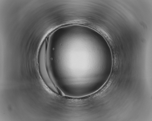 X0000112880800200909041640