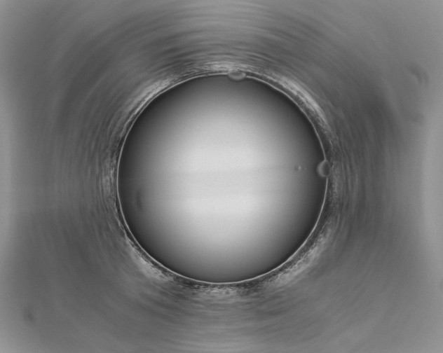 X0000112880801200909041640