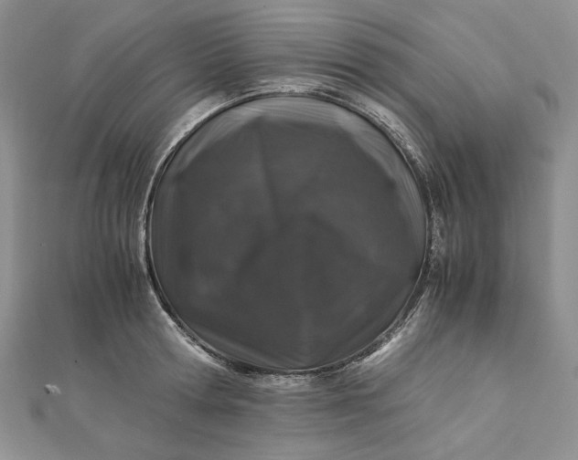 X0000112880802200909041640