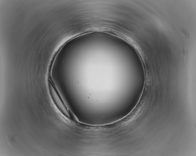 X0000112880803200909041640