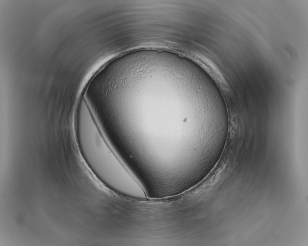 X0000112880804200909041640