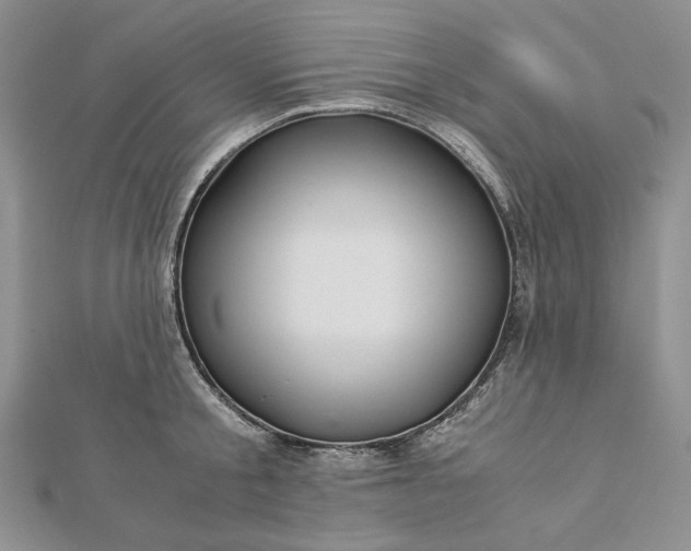 X0000112880805200909041640