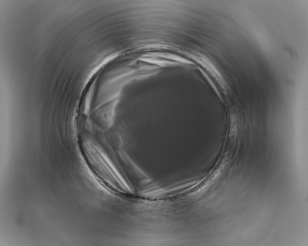 X0000112880806200909041640