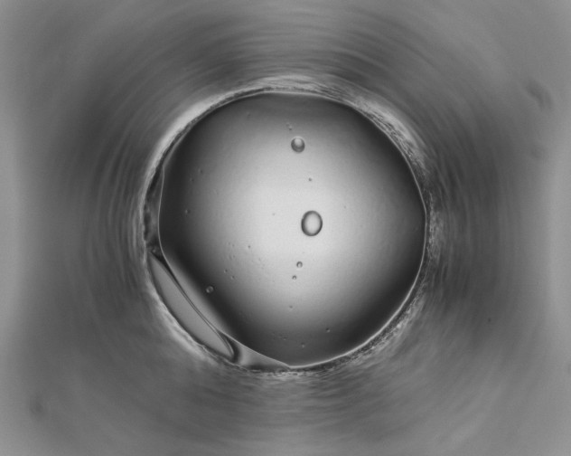 X0000112880808200909041640