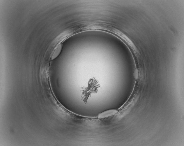 X0000112880809200909041640