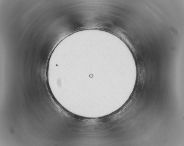 X0000112880810200909041640