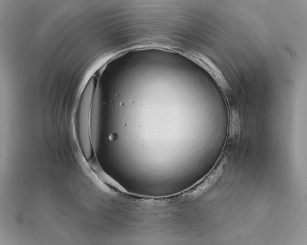 X0000112880812200909041640