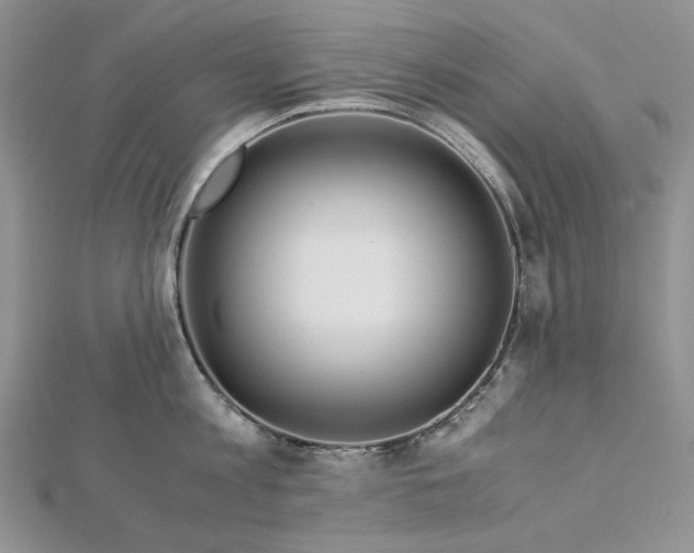 X0000112880813200909041640