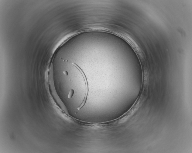 X0000112880814200909041640