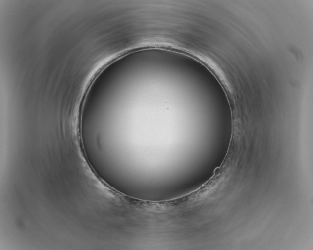 X0000112880815200909041640