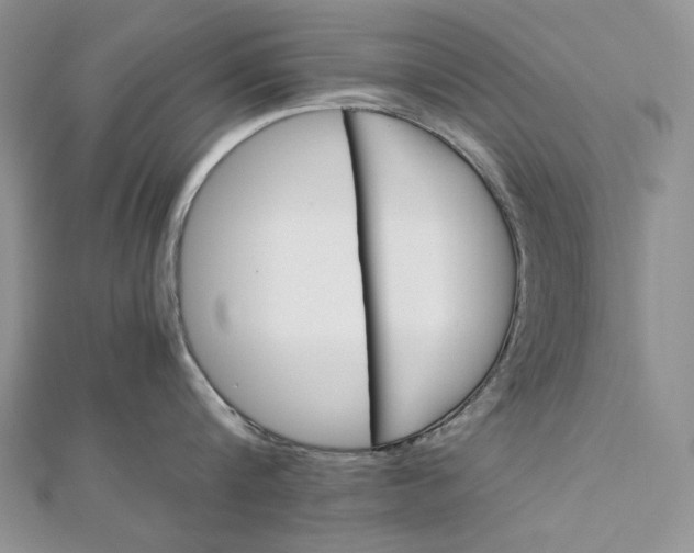 X0000112880816200909041640