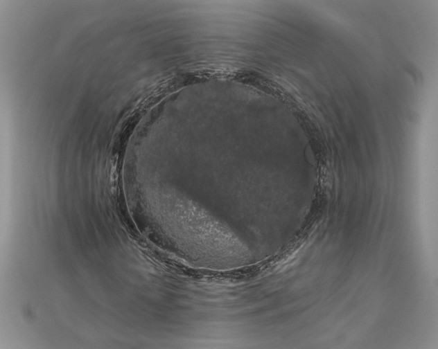 X0000112880818200909041639