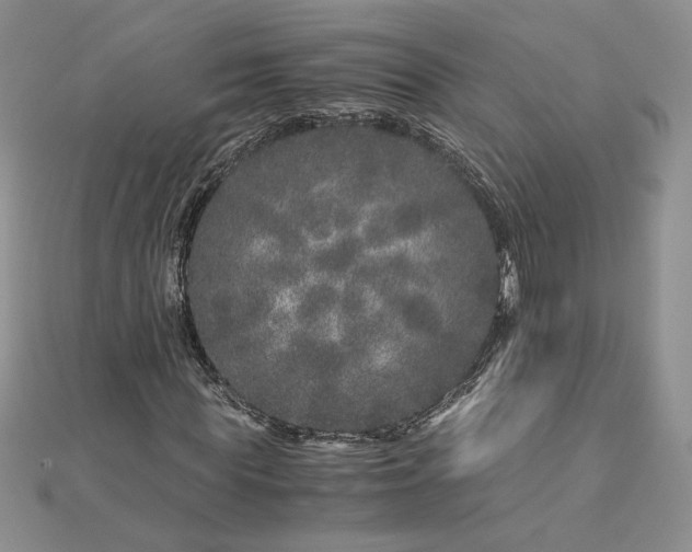 X0000112880819200909041639