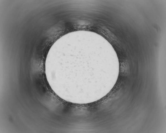 X0000112880820200909041639