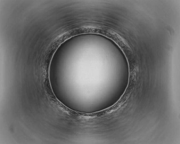 X0000112880821200909041639