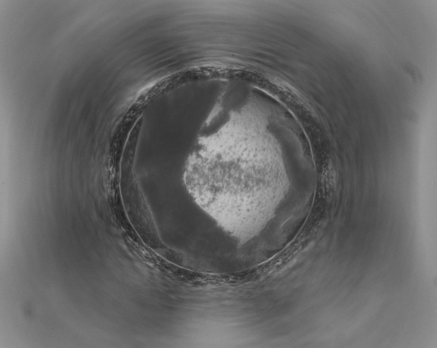 X0000112880822200909041639