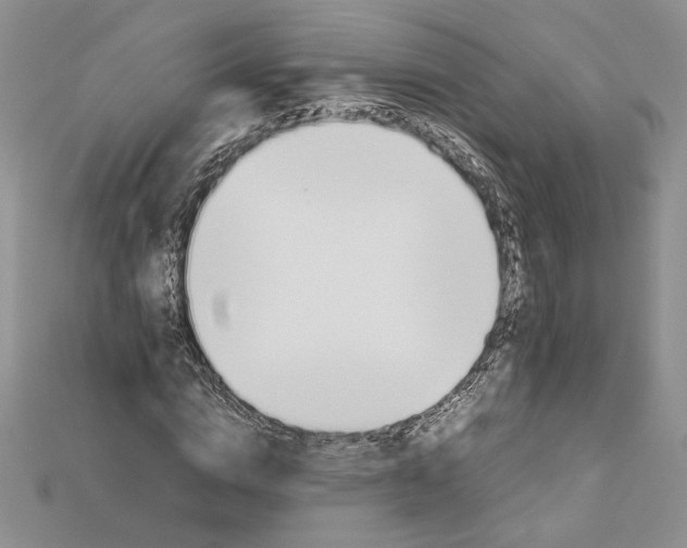 X0000112880824200909041639