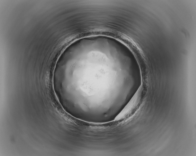 X0000112880825200909041639