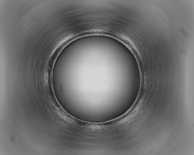 X0000112880827200909041639