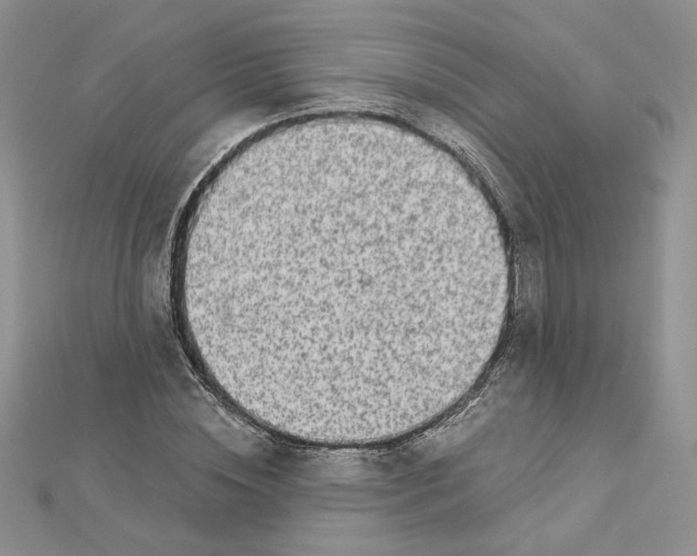 X0000112880828200909041639