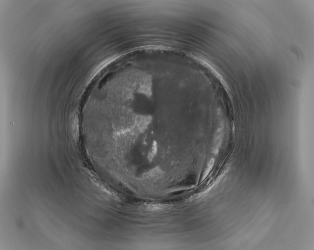 X0000112880829200909041639