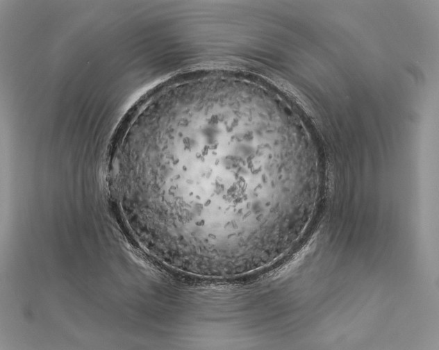 X0000112880830200909041639