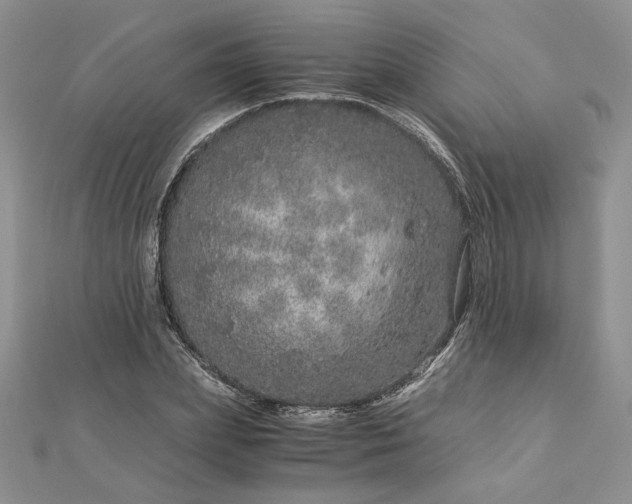 X0000112880831200909041639