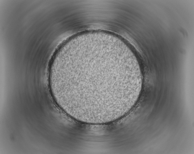 X0000112880832200909041639