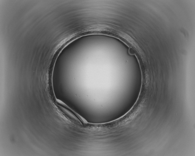 X0000112880834200909041639