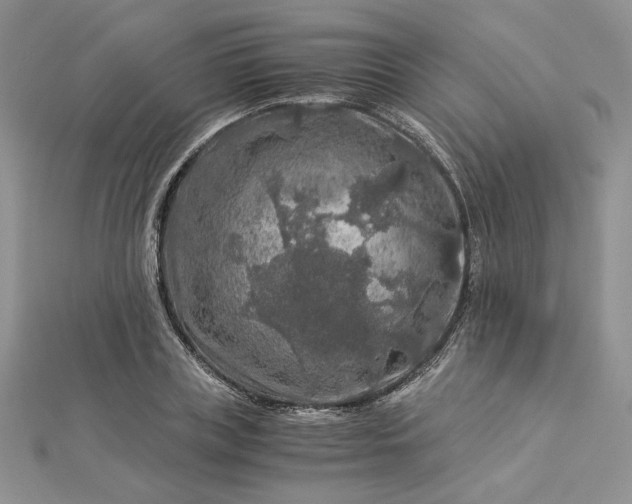 X0000112880835200909041639