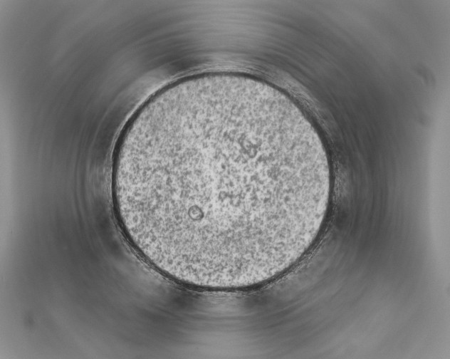 X0000112880836200909041639