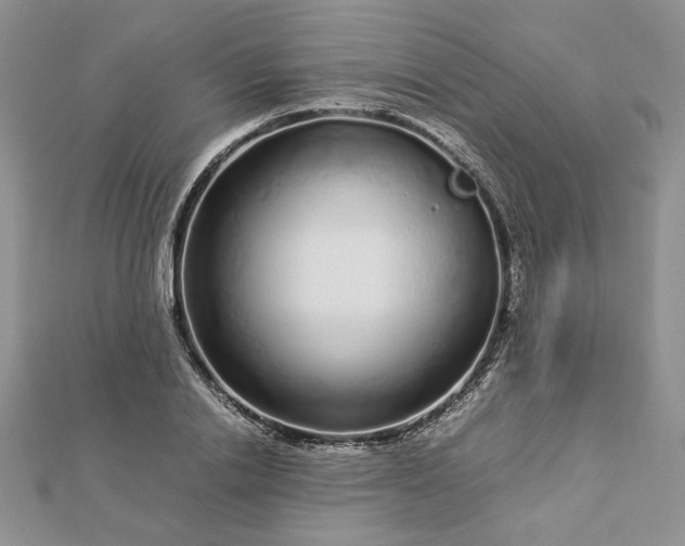 X0000112880838200909041639