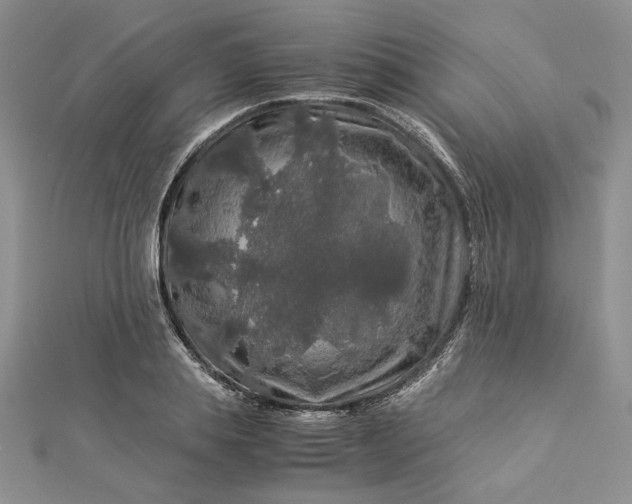 X0000112880839200909041639