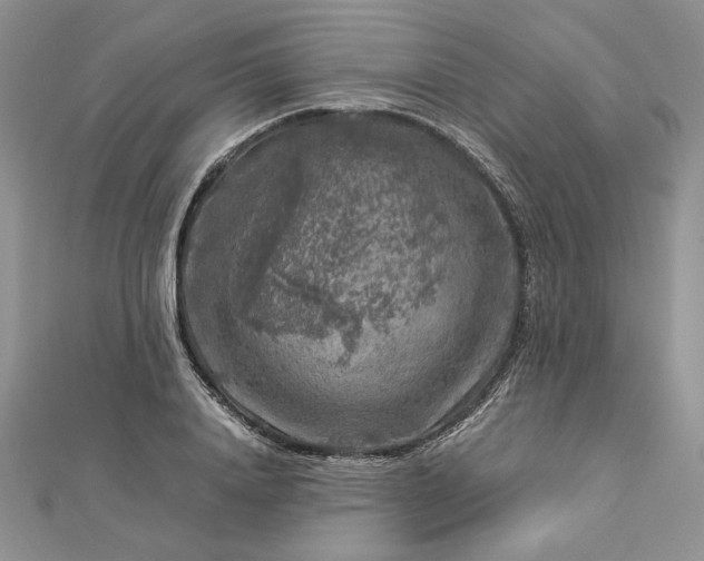 X0000112880840200909041639