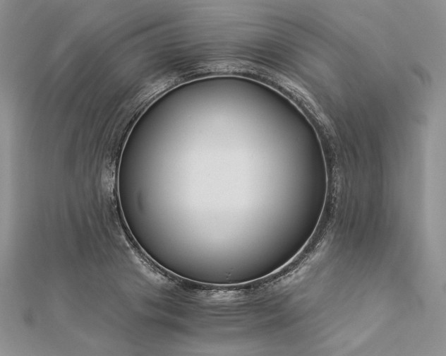 X0000112880841200909041639