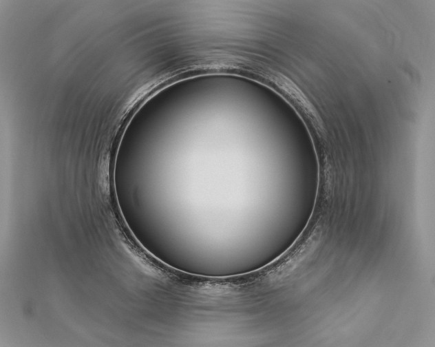 X0000112880842200909041639