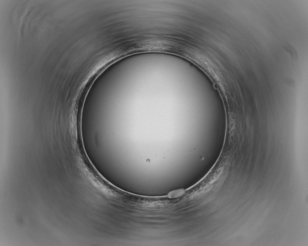 X0000112880843200909041639